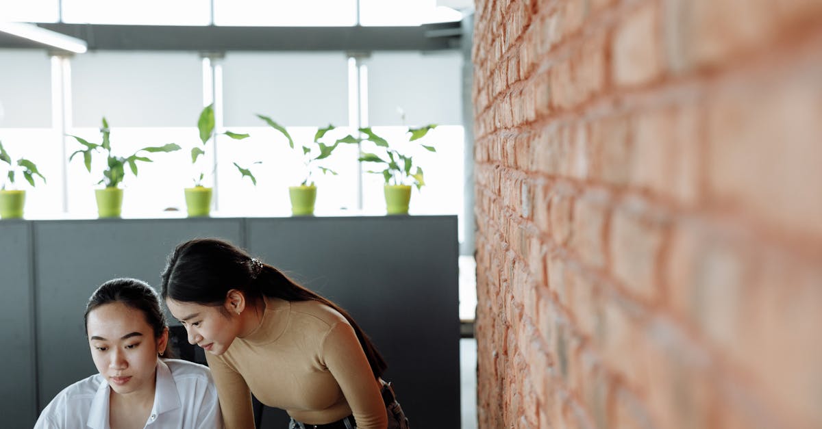 ipad app数据详情下载教程